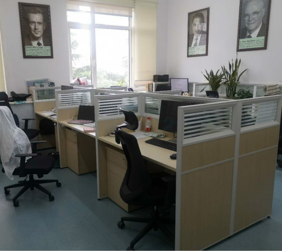 
                                    催化基礎(chǔ)國家重點實驗室